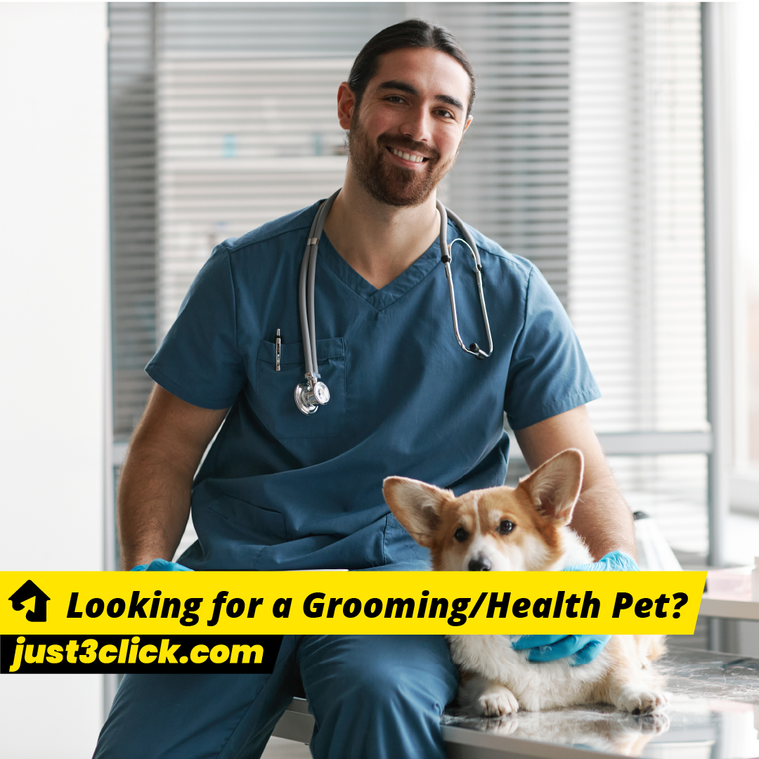 Grooming(Health Pet)