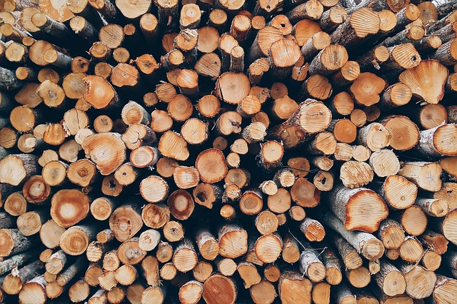 Firewood